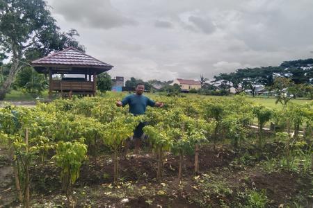 Peran petani milenial dalam pengolahan
