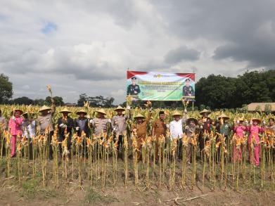 Perkuat Ketahanan Pangan Polres Blitar Kota bersama Forkopimda Panen Raya Jagung Kuartal III