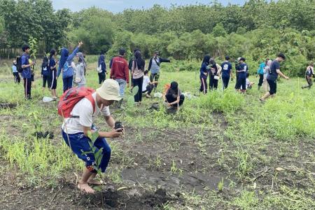 Hijaukan Hutan Perhutani dan Mahasiswa Geodesi Undip Tanam Bibit Buah 
